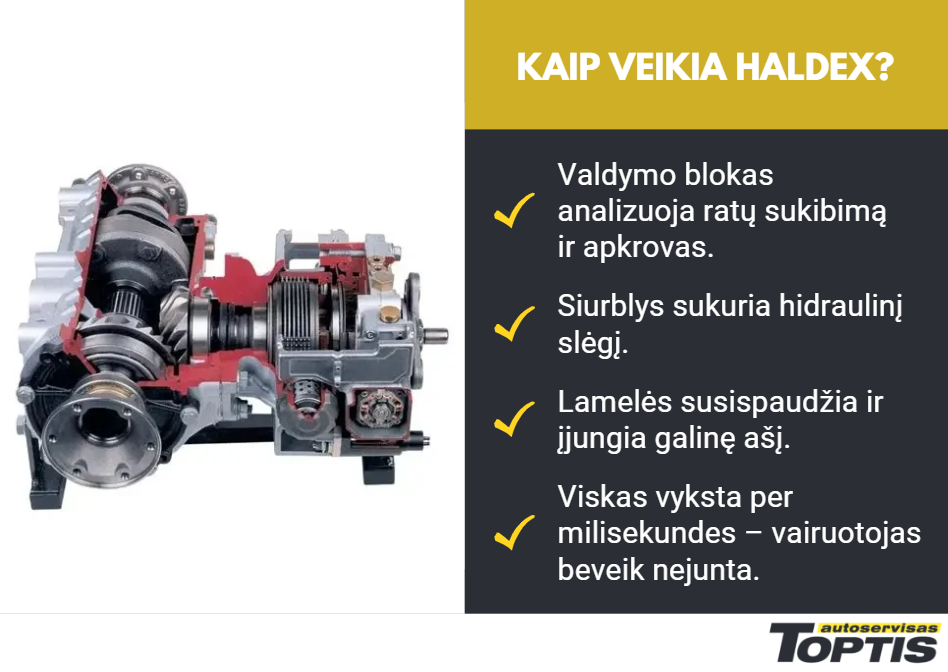 Haldex sistemos veikimas
