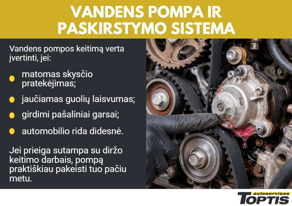 Paskirstymo diržo komplektas su vandens pompa